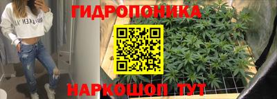 a pvp Волгодонск